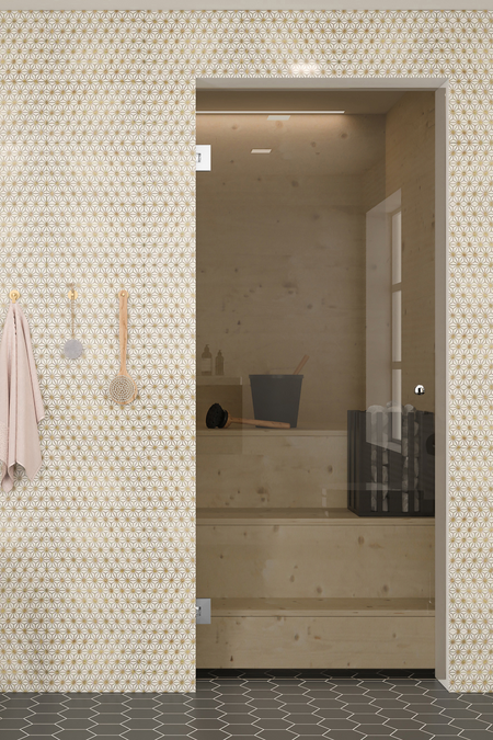 Saunan lasiovi Classic C61 Erikoiserä